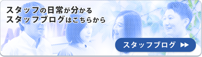 スタッフブログ