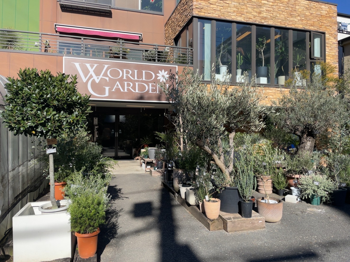 観葉植物 リフォーム青山 市川 行徳 浦安 地域密着型のリフォーム会社